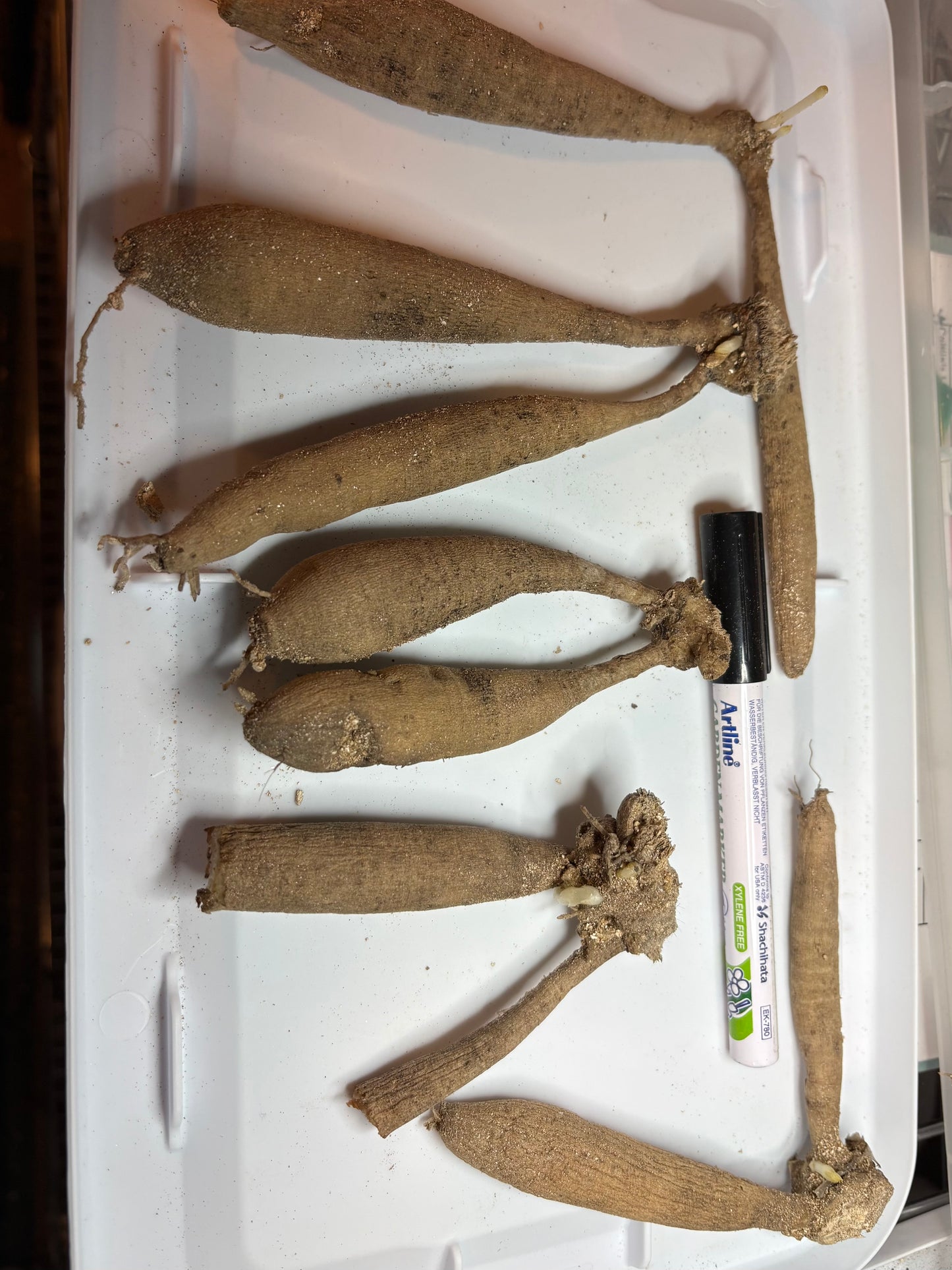 #Ugly Tubers
