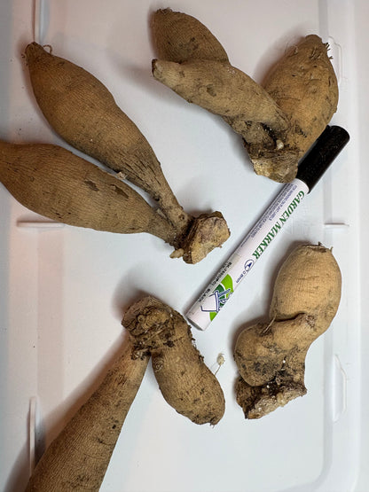 #Ugly Tubers